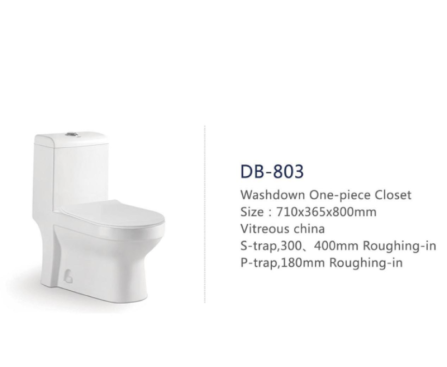 Dubang Washdown One-piece Closet (710x365x800mm) | Db-803