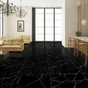    Pons of Our Glossy Ceramic Tiles